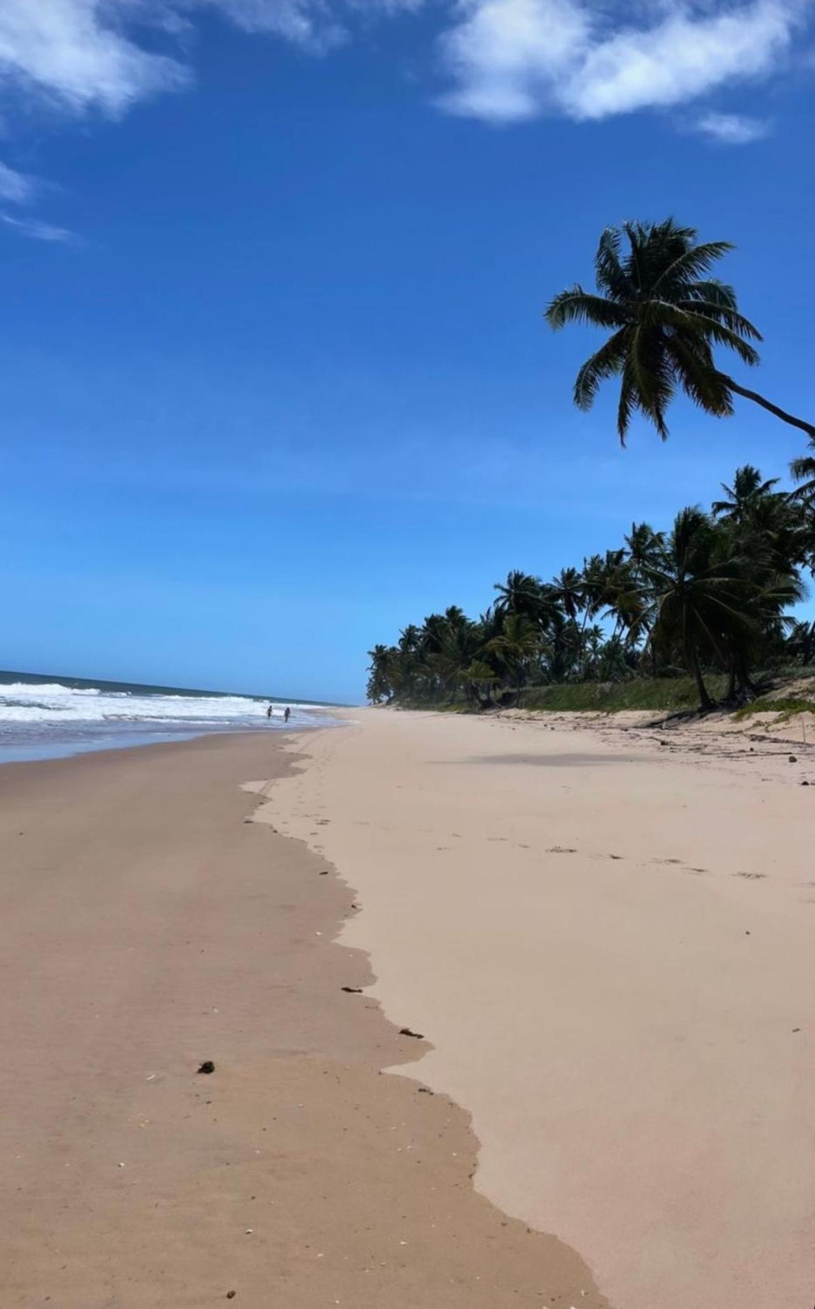 Praia Do Forte Iberostar Luaran gambar